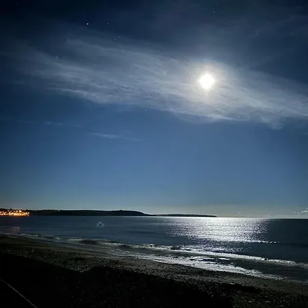 Seagrass * Youghal